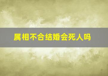 属相不合结婚会死人吗