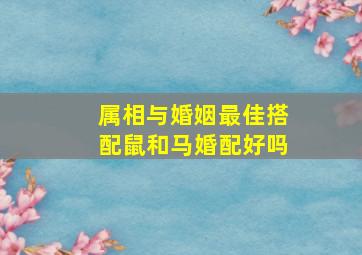 属相与婚姻最佳搭配鼠和马婚配好吗