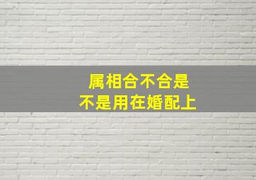 属相合不合是不是用在婚配上