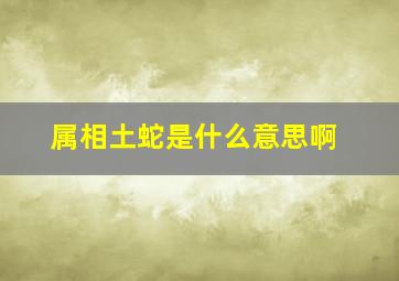 属相土蛇是什么意思啊