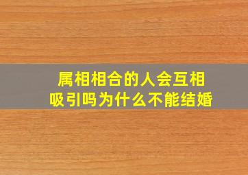 属相相合的人会互相吸引吗为什么不能结婚