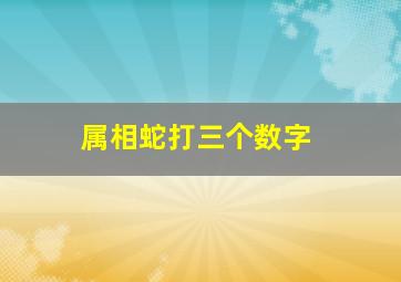 属相蛇打三个数字