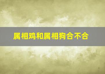 属相鸡和属相狗合不合