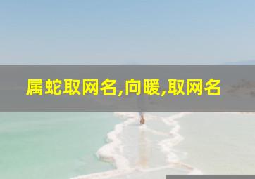 属蛇取网名,向暖,取网名