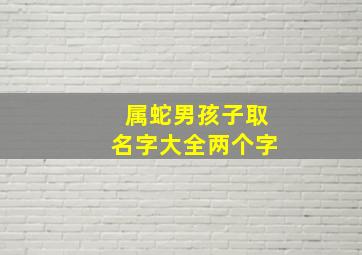 属蛇男孩子取名字大全两个字