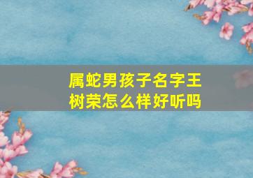 属蛇男孩子名字王树荣怎么样好听吗