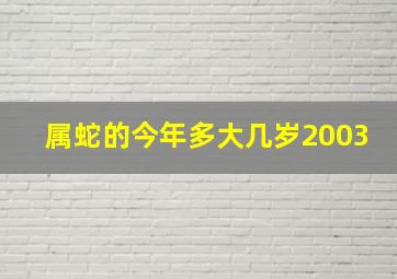 属蛇的今年多大几岁2003