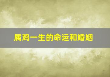 属鸡一生的命运和婚姻