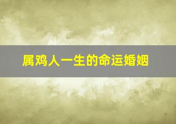 属鸡人一生的命运婚姻