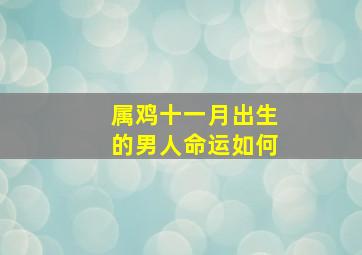 属鸡十一月出生的男人命运如何