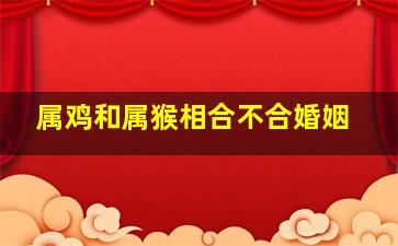 属鸡和属猴相合不合婚姻