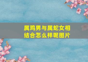 属鸡男与属蛇女相结合怎么样呢图片