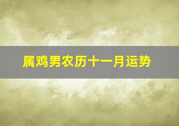 属鸡男农历十一月运势