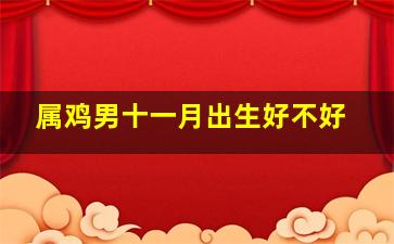 属鸡男十一月出生好不好