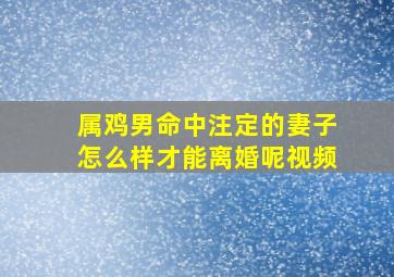 属鸡男命中注定的妻子怎么样才能离婚呢视频