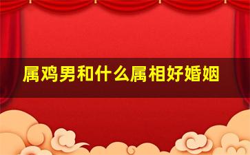 属鸡男和什么属相好婚姻