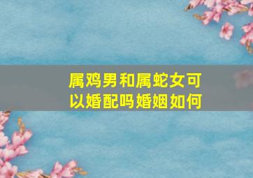 属鸡男和属蛇女可以婚配吗婚姻如何