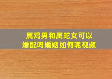 属鸡男和属蛇女可以婚配吗婚姻如何呢视频