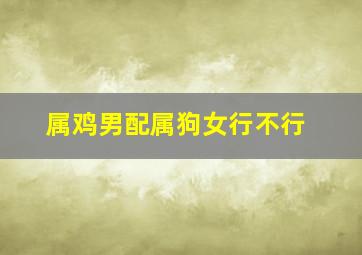 属鸡男配属狗女行不行