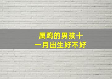 属鸡的男孩十一月出生好不好