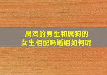 属鸡的男生和属狗的女生相配吗婚姻如何呢