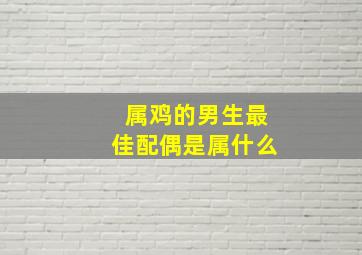 属鸡的男生最佳配偶是属什么