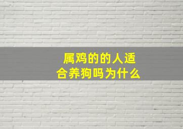 属鸡的的人适合养狗吗为什么