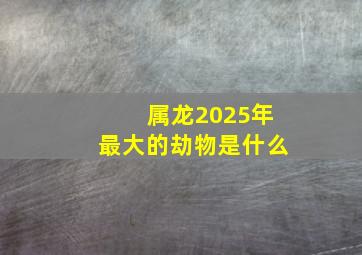 属龙2025年最大的劫物是什么