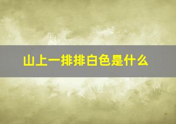 山上一排排白色是什么