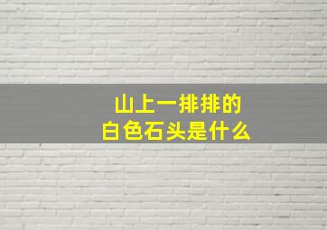 山上一排排的白色石头是什么