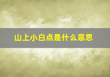 山上小白点是什么意思