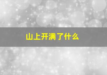 山上开满了什么