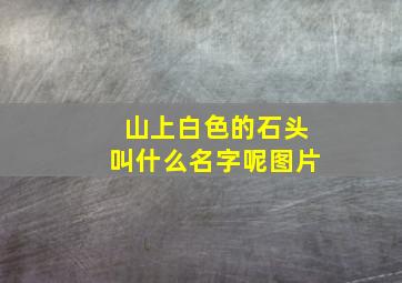 山上白色的石头叫什么名字呢图片