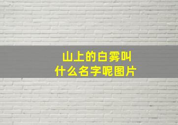 山上的白雾叫什么名字呢图片