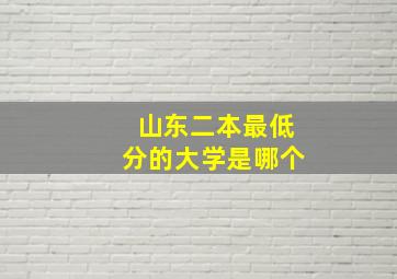 山东二本最低分的大学是哪个