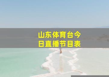 山东体育台今日直播节目表