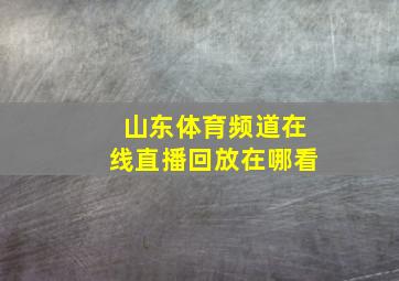 山东体育频道在线直播回放在哪看