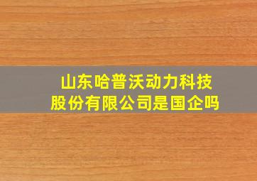 山东哈普沃动力科技股份有限公司是国企吗