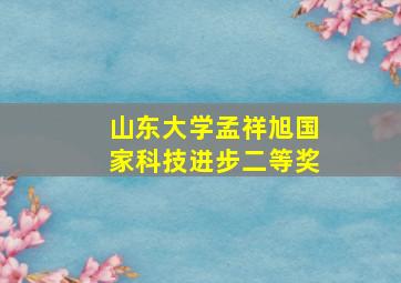 山东大学孟祥旭国家科技进步二等奖