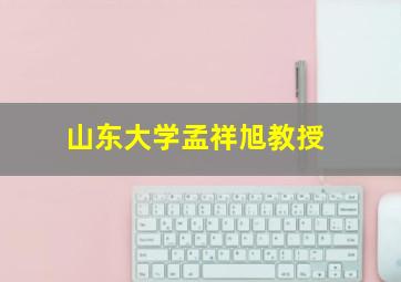 山东大学孟祥旭教授