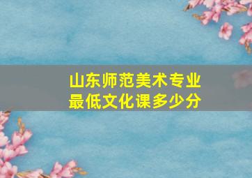 山东师范美术专业最低文化课多少分