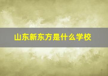 山东新东方是什么学校