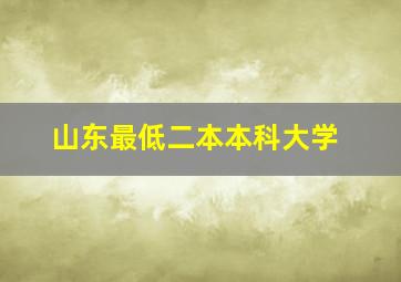 山东最低二本本科大学