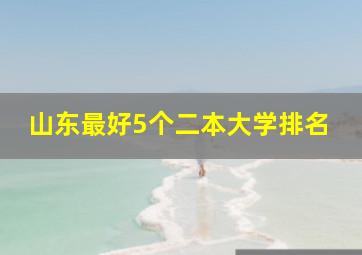 山东最好5个二本大学排名