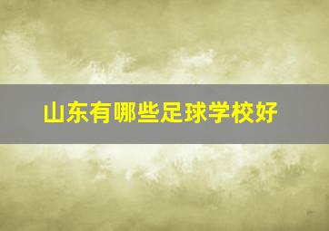 山东有哪些足球学校好