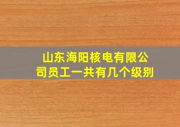 山东海阳核电有限公司员工一共有几个级别