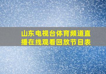 山东电视台体育频道直播在线观看回放节目表