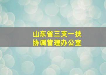 山东省三支一扶协调管理办公室