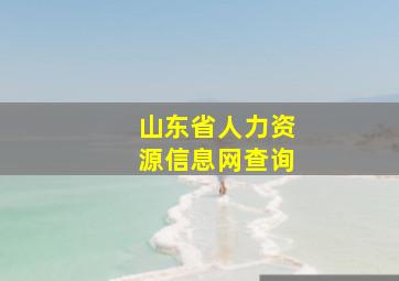 山东省人力资源信息网查询