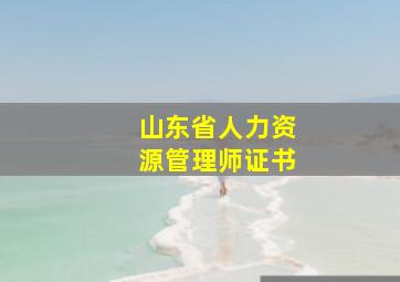 山东省人力资源管理师证书